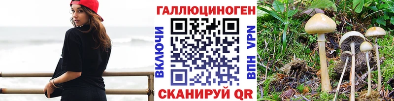 продажа наркотиков  Щёлкино  Псилоцибиновые грибы Psilocybine cubensis 